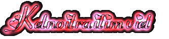 Ketnoitraitimviet2